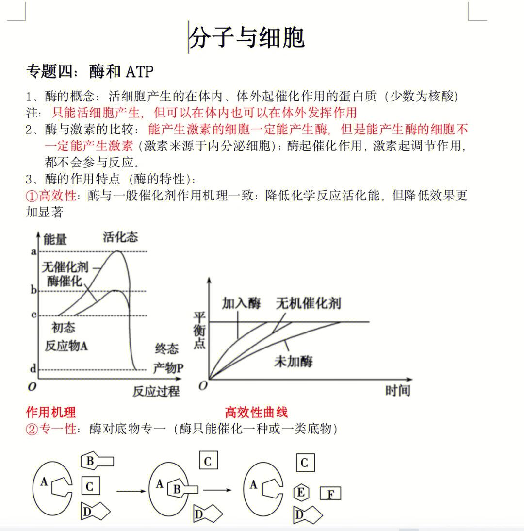 PAB和ATP的区别 atpadpamp之间的关系图 