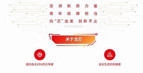 龙芯和神威的区别 龙芯和申威cpu区别 