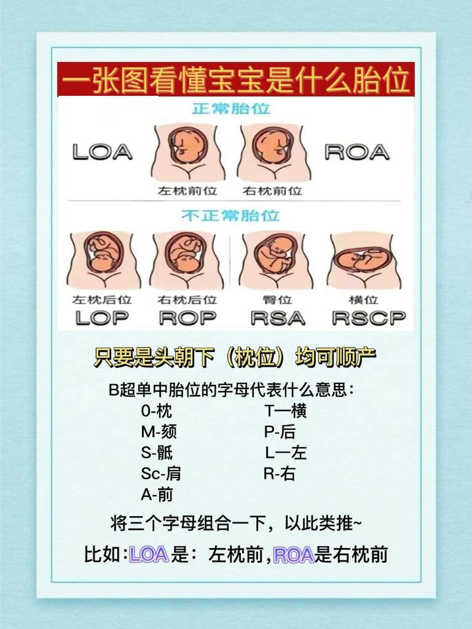 位图区别 位图的概念 