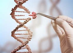 genetic与genetical区别 genetic和genetical的区别 
