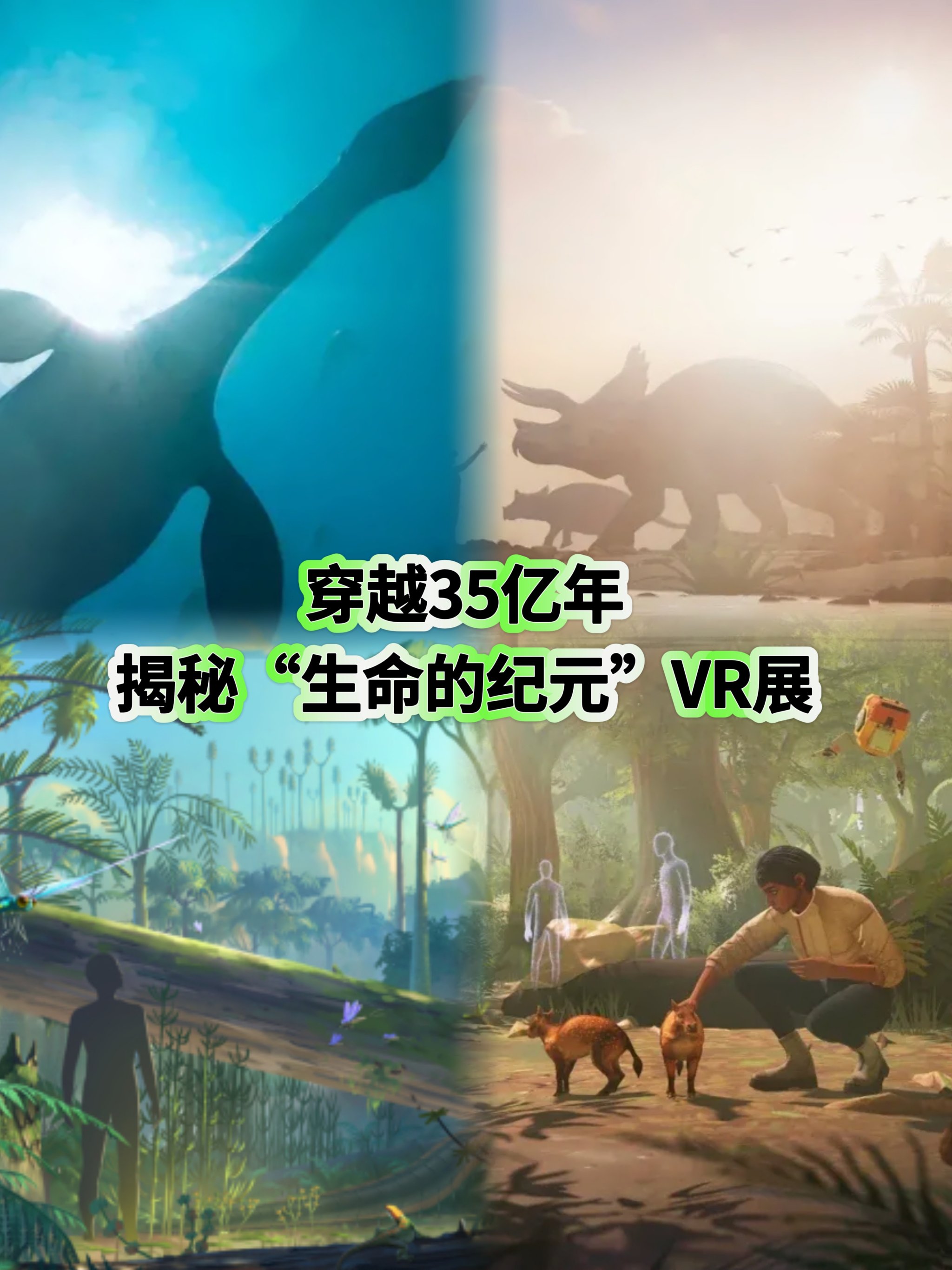 全息投影和vr的区别 全息投影和vr的区别在哪 