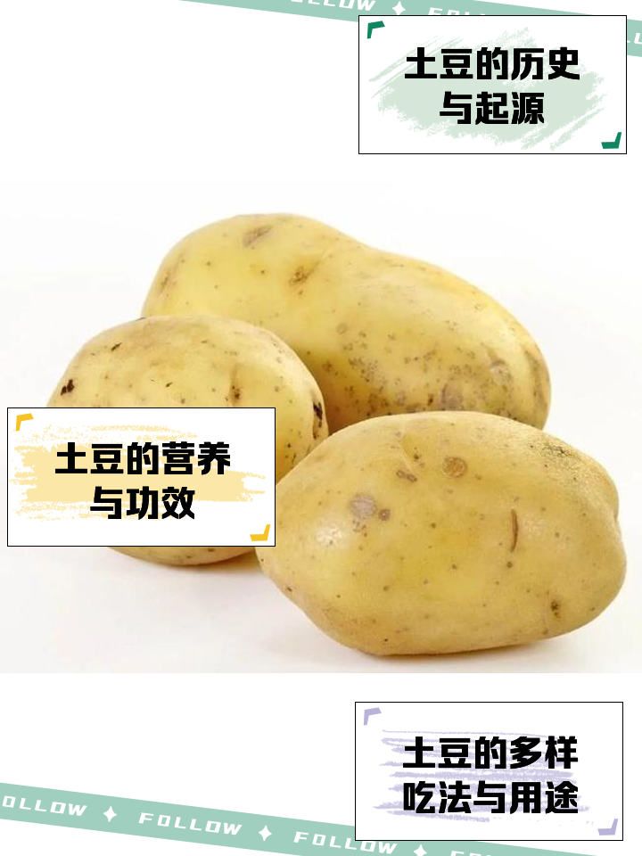 优酷土豆区别 优酷和土豆有什么区别 