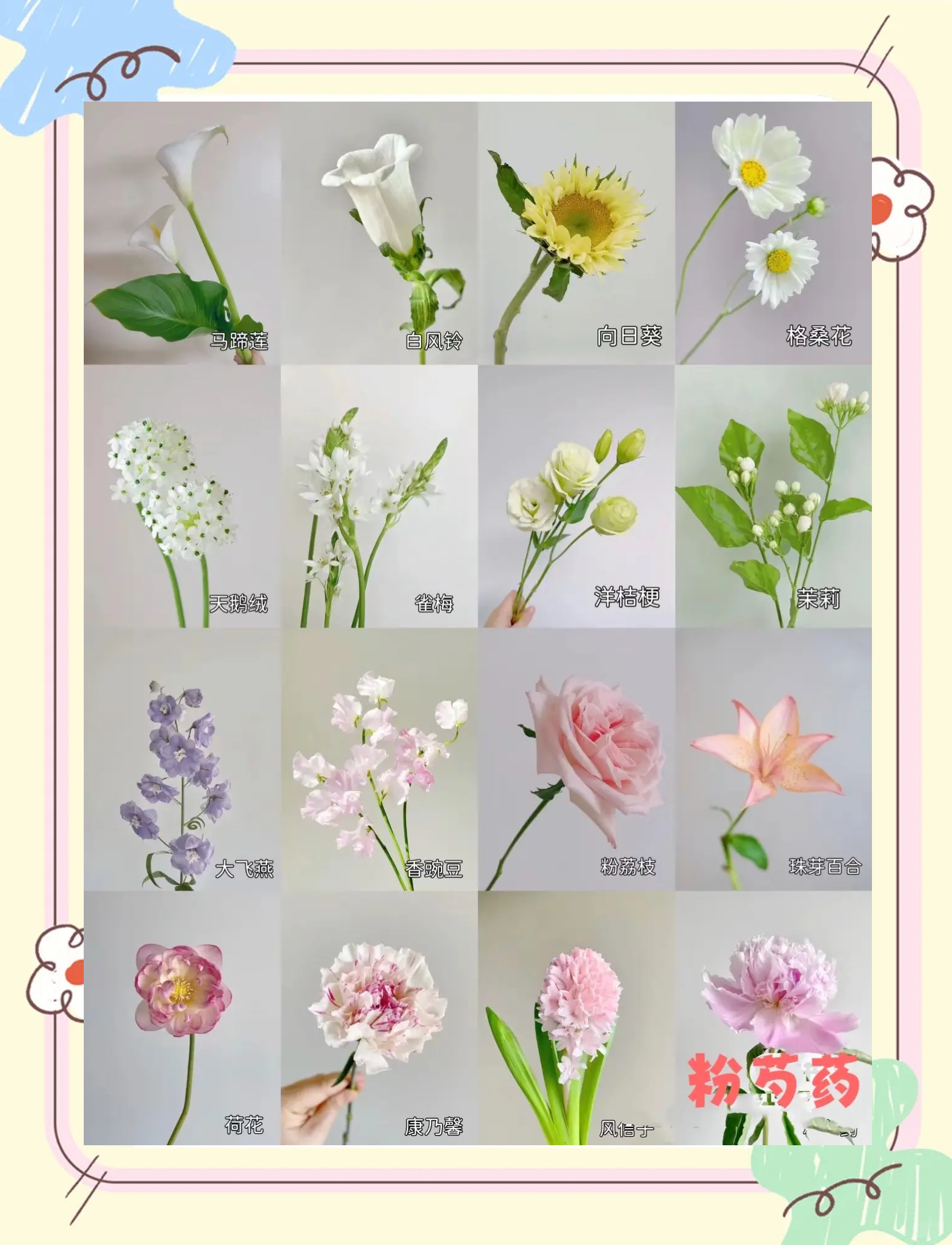 flower和floral的区别 flower和flour的英语发音怎么区别 