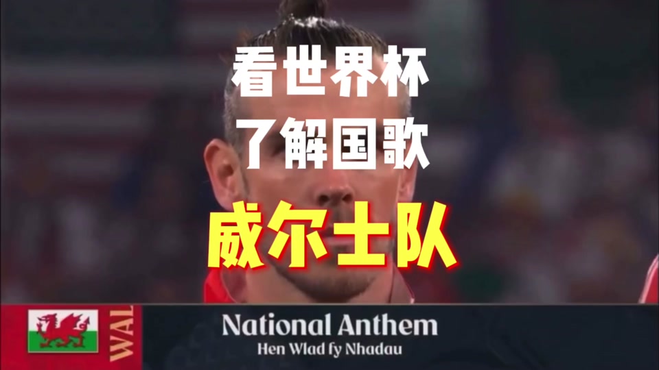斗志昂扬！瑞士队与威尔士队争夺平局的简单介绍