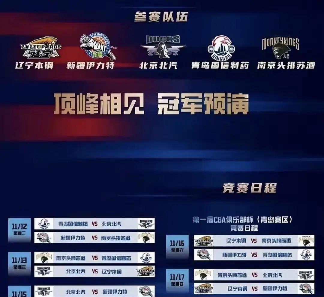 精英角逐，国内球队誓要登上巅峰 