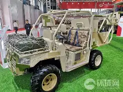 山猫全难负伤阵容受挫破碎疲劳问题迎头的简单介绍
